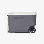 Igloo 35 qt Hard Sided Electric Wheeled Thermocooler, Gray