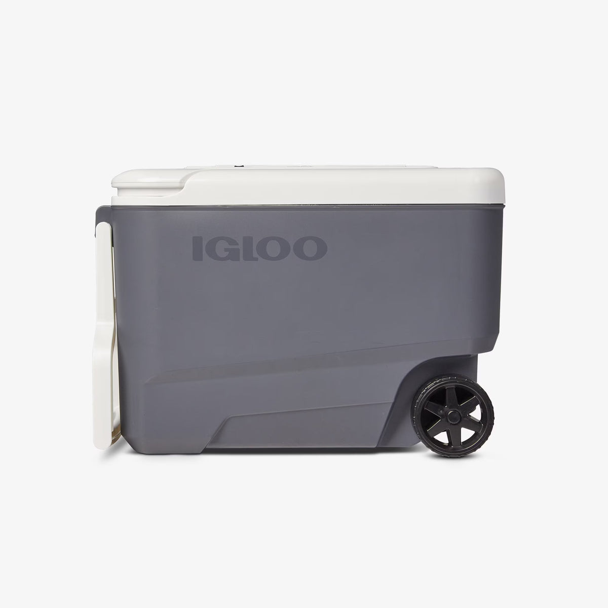 Igloo 35 qt Hard Sided Electric Wheeled Thermocooler, Gray