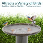 Sunnydaze Freestanding Ceramic Outdoor Bird Bath, Glazed, UV-Resistant Galaxy Blue Finish