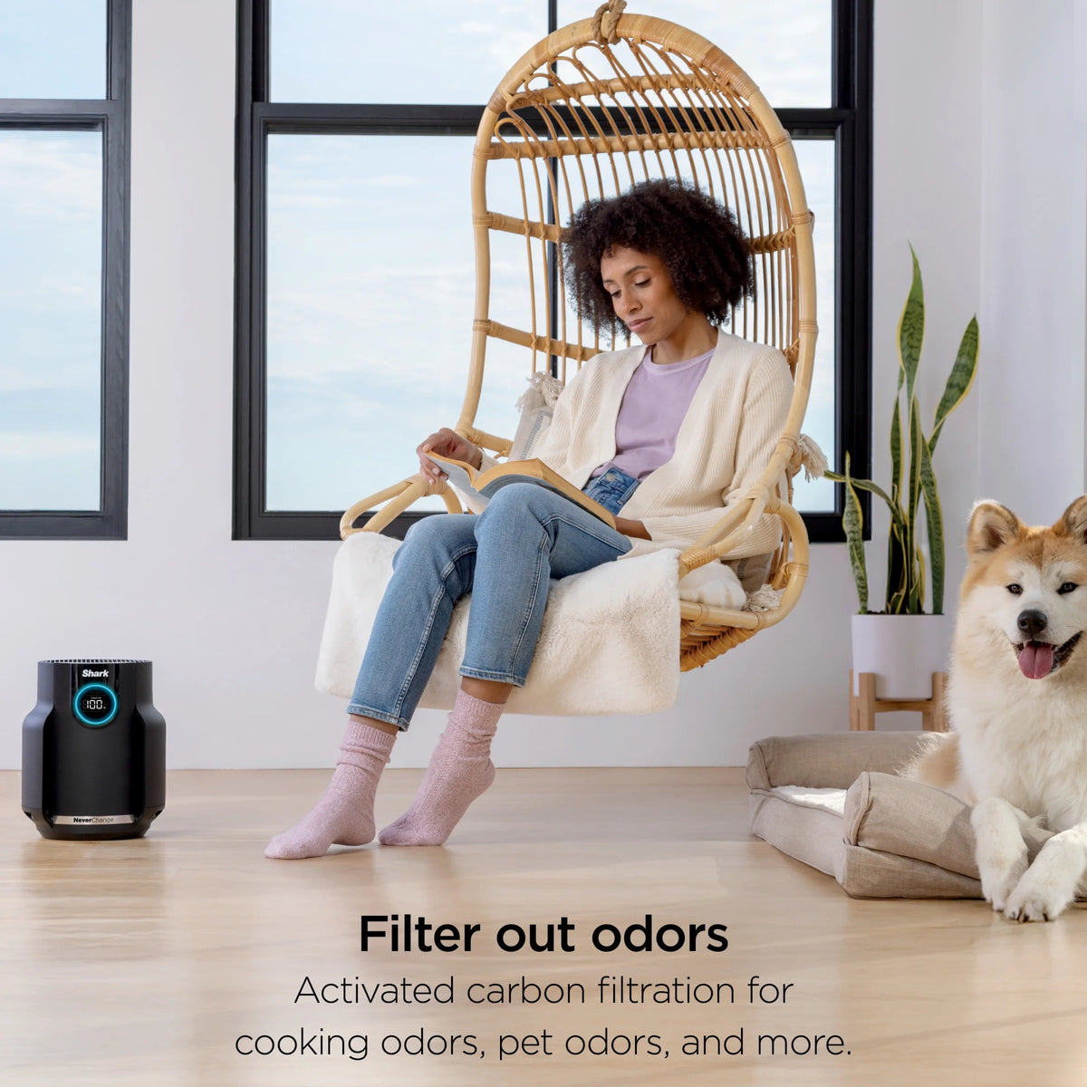 Shark NeverChange Air Purifier Compact Pro, HEPA Filter, HP070