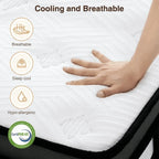 Queen Size Mattress in a Box, 14 Inch Gel Memory Foam Mattress for Cool Night & Pressure Relief, Medium Plush Feel with Motion Isolating, Breathable Fabric
