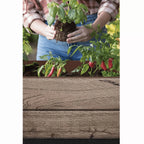 Keter Signature Collection 29 Gal. Resin Elevated Garden Bed
