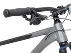 Bicycles 29" Men's Trouvaille Mountain Bike Large, Black and Taupe