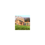 TRIXIE Weatherproof Outdoor Wooden Chicken Coop with 2 Nesting Boxes & Run, Brown