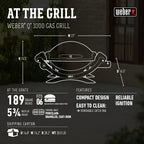 Weber Q 1000 1-Burner Portable Gas Grill, Titanium