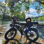 Electric Bike for Adults, 750W Peak 1500W Motor, 20"x4" Fat Tire E Bicycle, Hydraulic Disc Brakes, E Mountain Bike, 48V/15AH UL2849, App Control