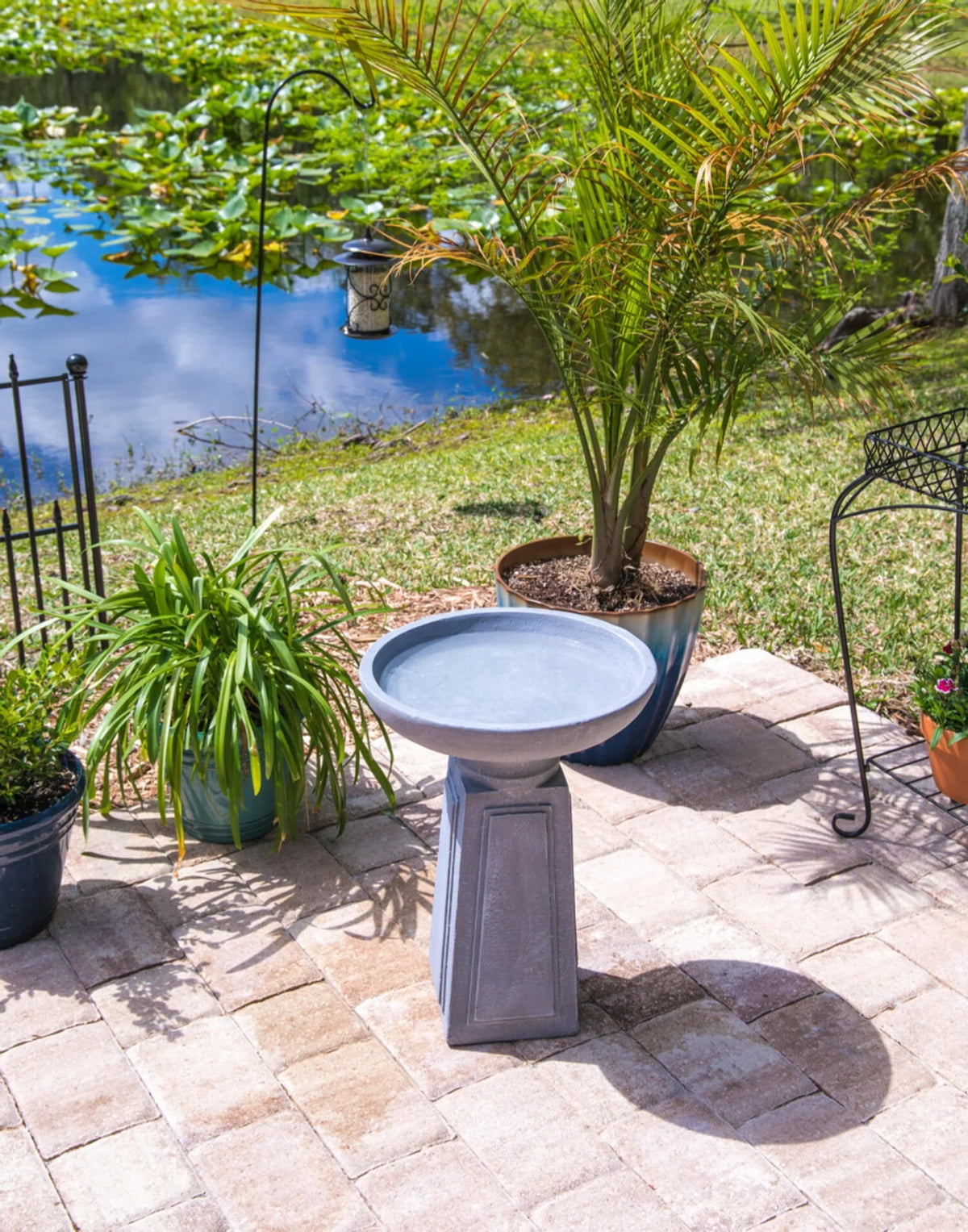 Pedestal Outdoor Bird Bath with Gray Finish