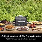 Ninja Woodfire Outdoor Grill and Smoker