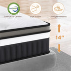 Queen Size Mattress in a Box, 14 Inch Gel Memory Foam Mattress for Cool Night & Pressure Relief, Medium Plush Feel with Motion Isolating, Breathable Fabric