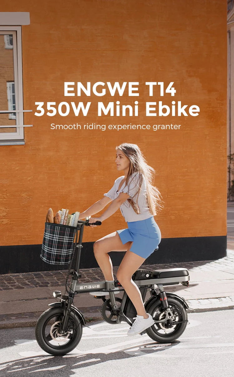 Engwe T14 Folding Electric Bikes for Adults,350W Mini Ebike 48V10AH Removable Battery, Urban City Commuter Electric Bicycles-Grey