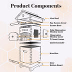 Bee Hive with Tap and Flow Hive Frame Complete Beehive Kit for Beginners