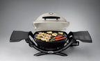 Weber Q1200 1-Burner Titanium Gas Grill