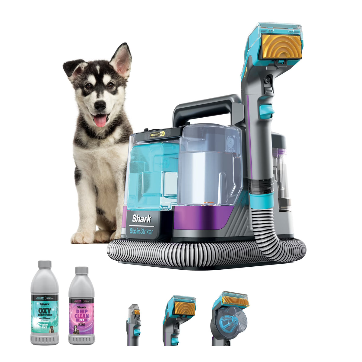 Shark StainStriker HairPro Carpet and Upholstery Cleaner, Portable with 3 Tools, 6oz Deep Clean Pro Formula and 12oz OXY Multiplier Formula, PX250 Dark Silver/Fuchsia
