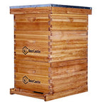 Bee Castle 10-Frame Beeswaxed Complete Bee Hives Kit with 2 Deep Box and 1 Medium Box
