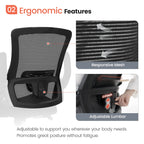 NEO CHAIR Ergonomic Office Chair, Adjustable High Back Mesh Desk Chair with Flip-up Arms, Black