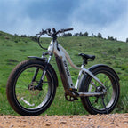 GOTRAX Tundra Electric Bike for Adults, 750W 48V 26" x 4" Fat Tire Adult Dirt Electric Bicycle, 20MPH All Terrain Electric Mountain Bike, Step over, Silver