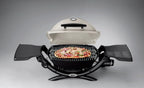 Weber Q1200 1-Burner Titanium Gas Grill