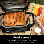 Ninja Woodfire Outdoor Grill and Smoker