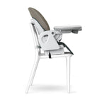Chicco Polly Progress 5-in-1 Highchair - Minerale (Black)