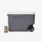 Igloo 35 qt Hard Sided Electric Wheeled Thermocooler, Gray