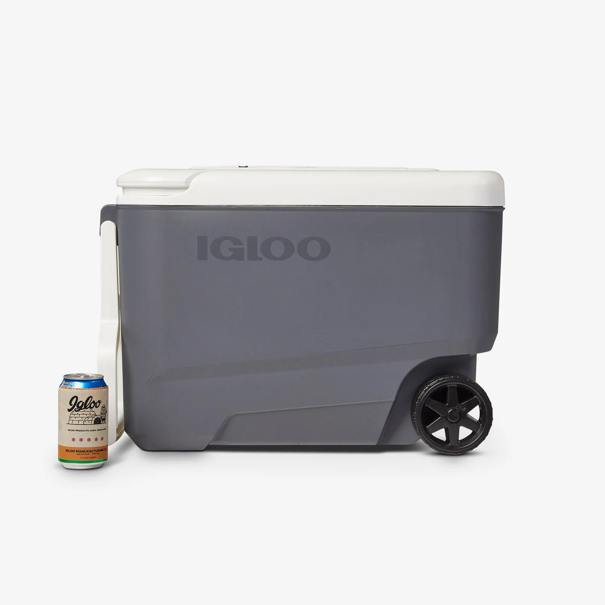 Igloo 35 qt Hard Sided Electric Wheeled Thermocooler, Gray