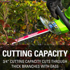 Greenworks 4 Amp 22-inch Corded Electric Hedge Trimmer, 22122