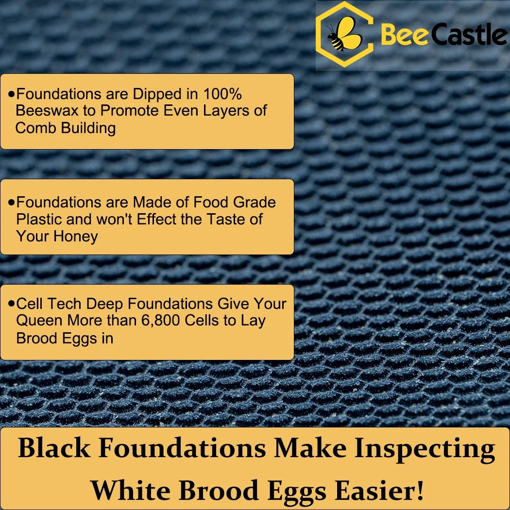 Bee Castle 10-Frame Beeswaxed Complete Bee Hives Kit with 2 Deep Box and 1 Medium Box