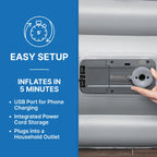 Bestway Wingback 17" Queen Air Mattress with Built-in Pump