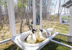 Zylina Modern Duck Barn - Duck Coop