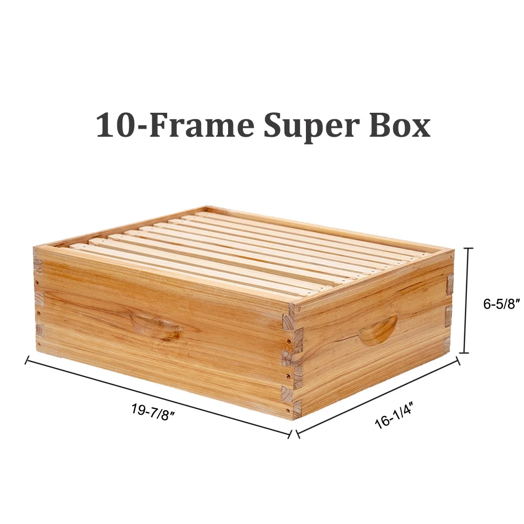 Bee Castle 10-Frame Beeswaxed Complete Bee Hives Kit with 2 Deep Box and 1 Medium Box