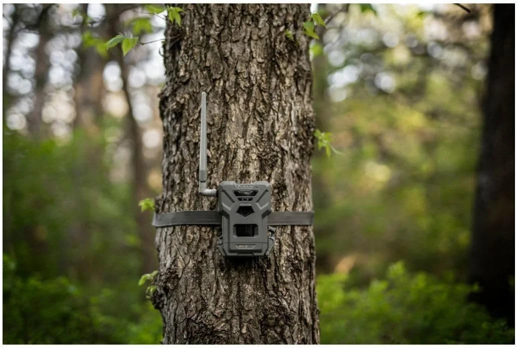 SPYPOINT Flex-m Twin Pack Cellular Trail Camera �C Hunting Trail Monitor with GPS, Night Vision, Dual-Sim LTE, IP65 Water-Resistant