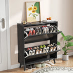 Shoe Storage Cabinet with 2 Flip Drawers, Modern Shoe Cabinet Storage for Entryway, Entryway Shoe Storage
