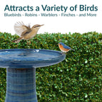Sunnydaze Freestanding Ceramic Outdoor Bird Bath, Glazed, UV-Resistant Galaxy Blue Finish