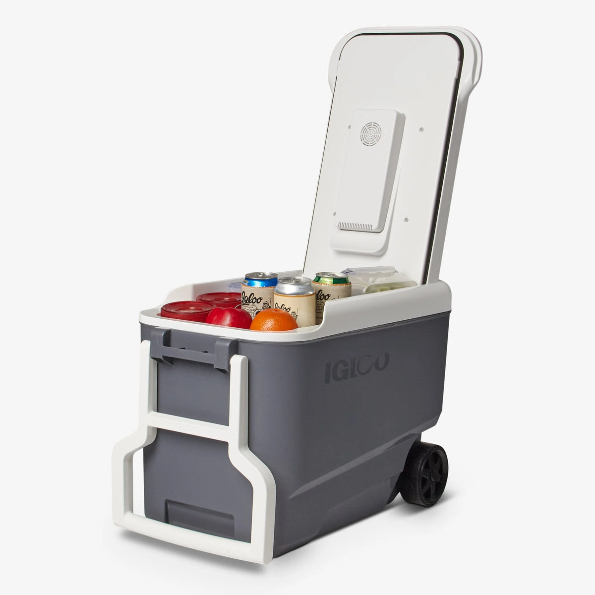 Igloo 35 qt Hard Sided Electric Wheeled Thermocooler, Gray