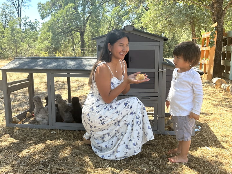 MEDEHOO 80" Mobile Chicken Coop with Wheels - Weatherproof Wooden Hen House, Outdoor Poultry Cage & Nesting Box Run, Expandable Design