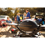 Weber Q 1200 Portable Gas Grill, Black