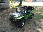 RPS TK125JP-8 125CC Go Kart Willy Rear Engine